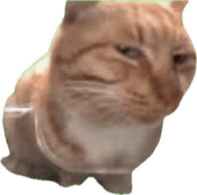 Cat Side Eye